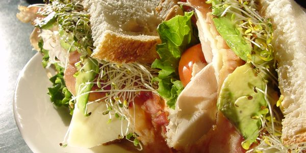 SandwichTurkey SandwichTurkey